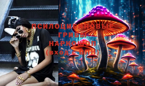 PSILOCYBIN Баксан